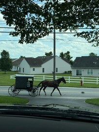Viewed from driveway