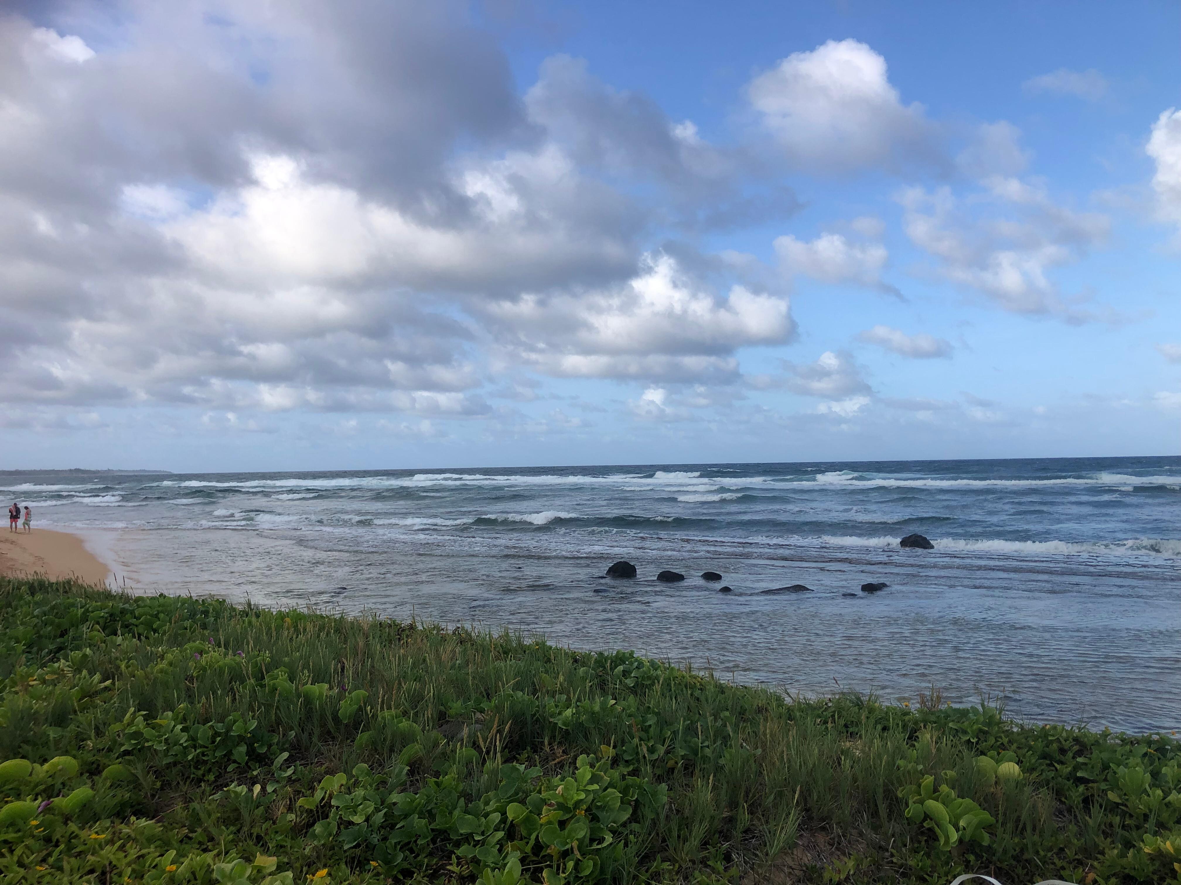 Beach access 