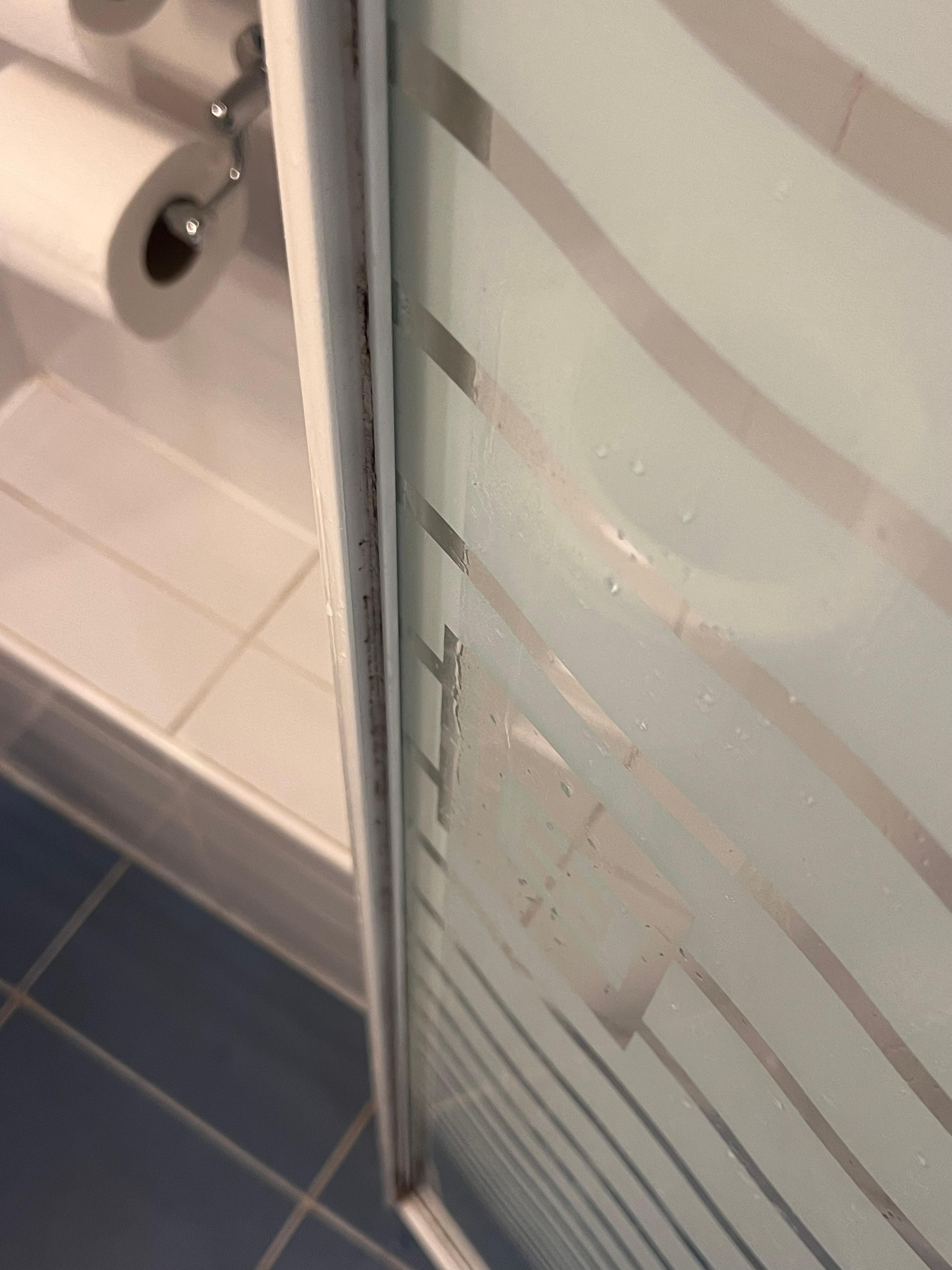 Grime in the shower screen