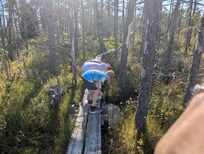 Hiking