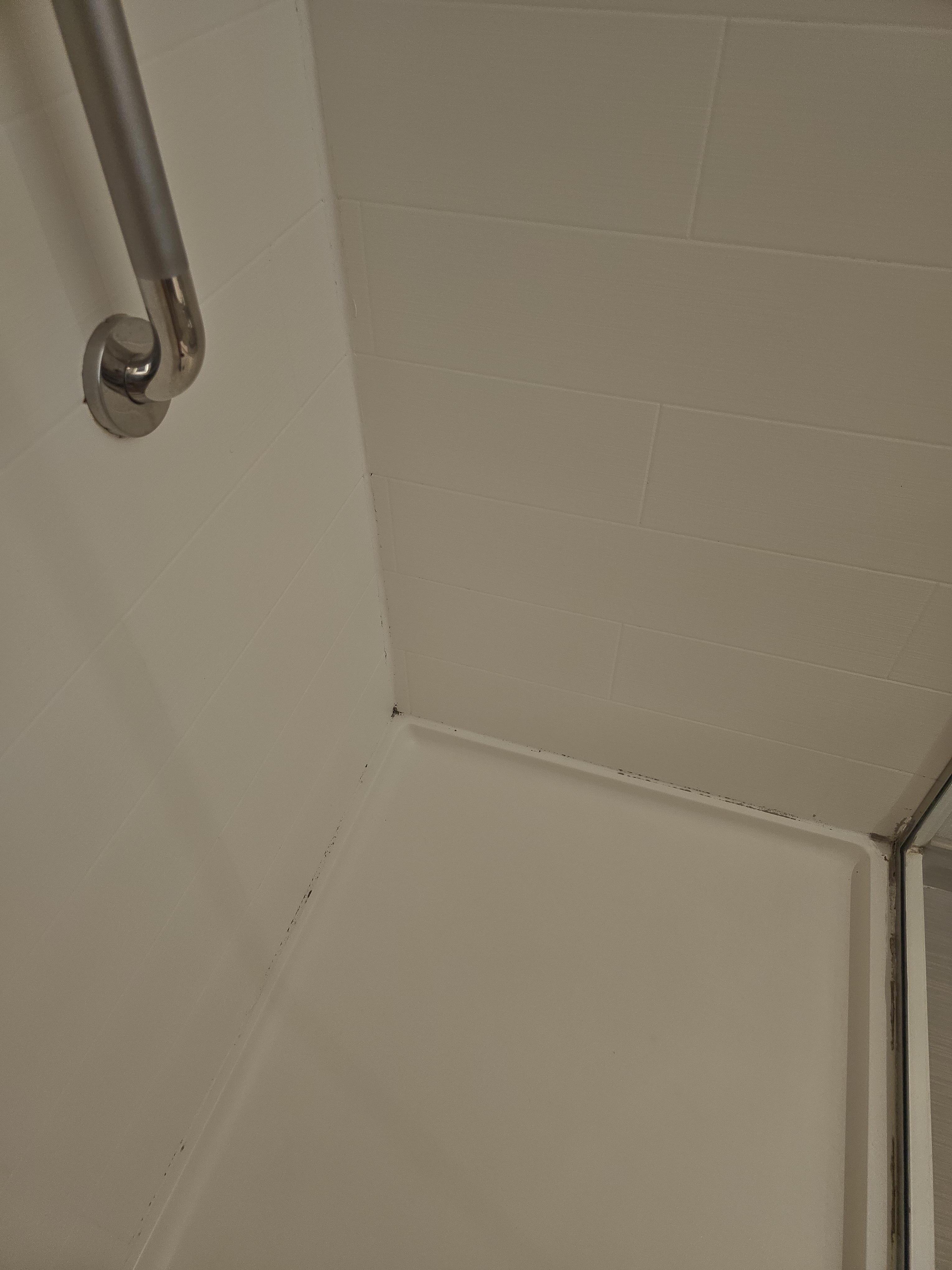 Shower had mildew/ mold.