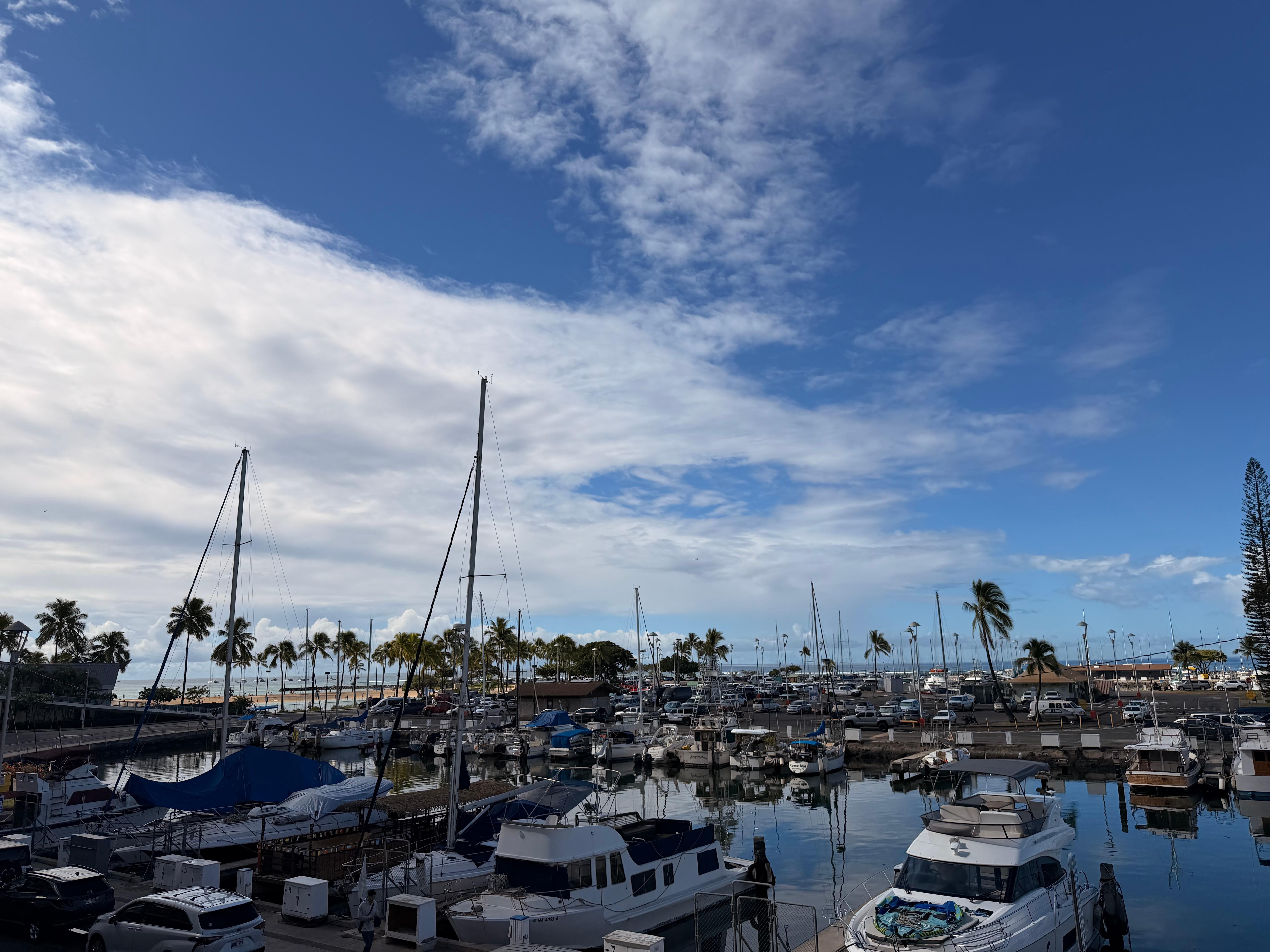 Marina view from The Grove pool bar
