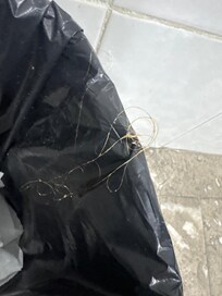 Hair in bed and restroom