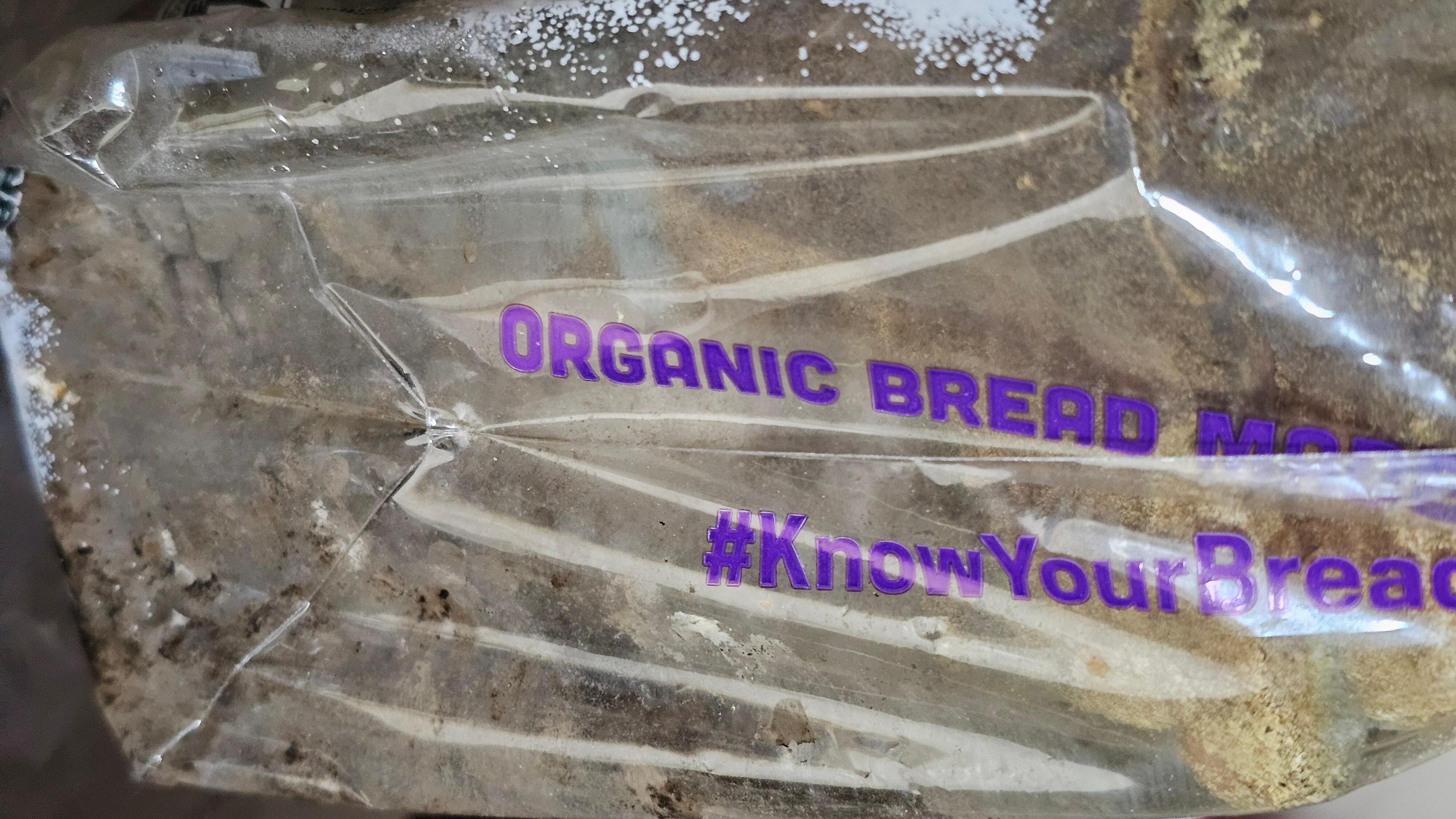 Bread with extra mold—free with room!