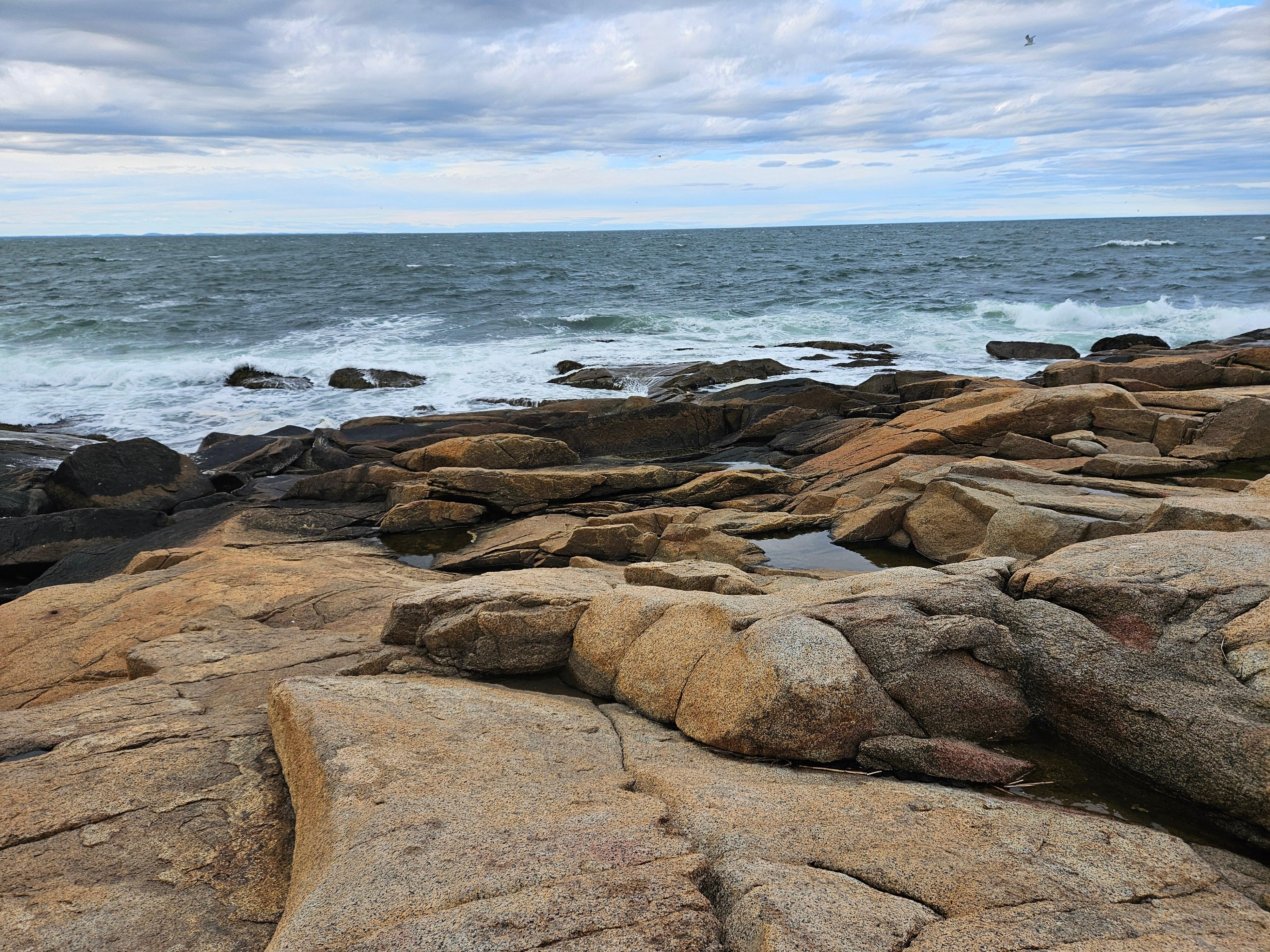 Halibut Point