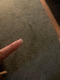 Stained carpet. Very old