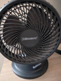 Fan in Master Bedroom.