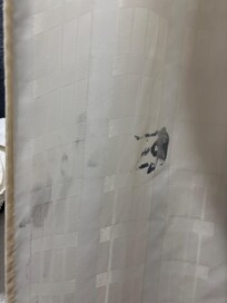 just one of the stains on the shower curtain