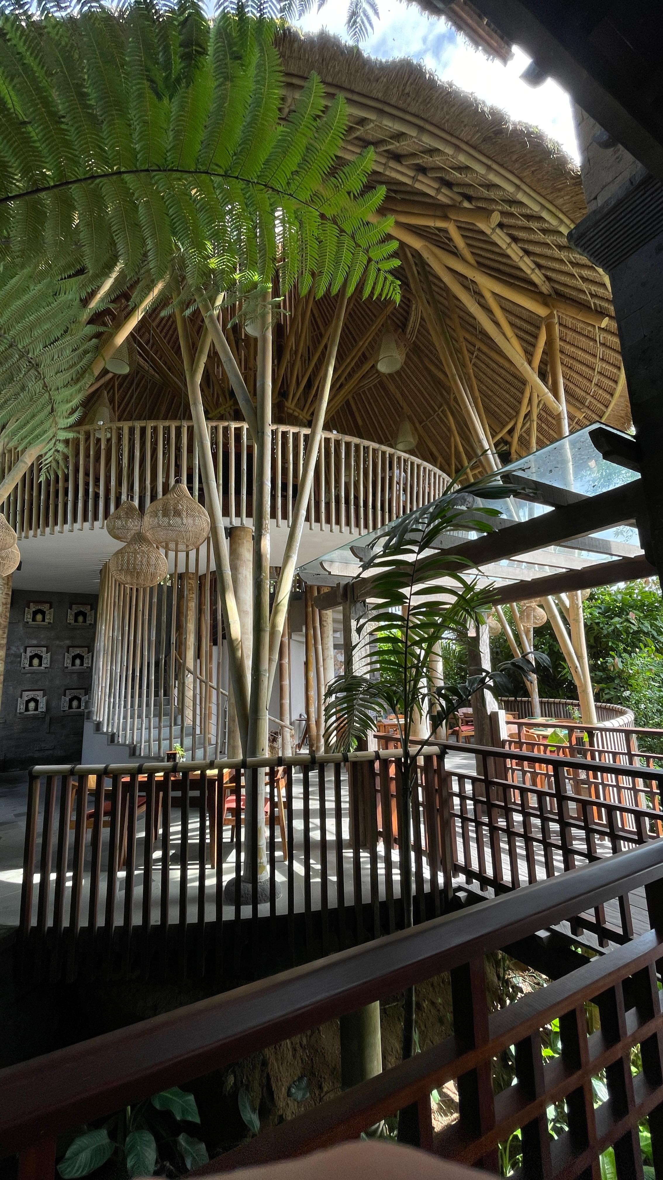 The beautiful treehouse restaurant