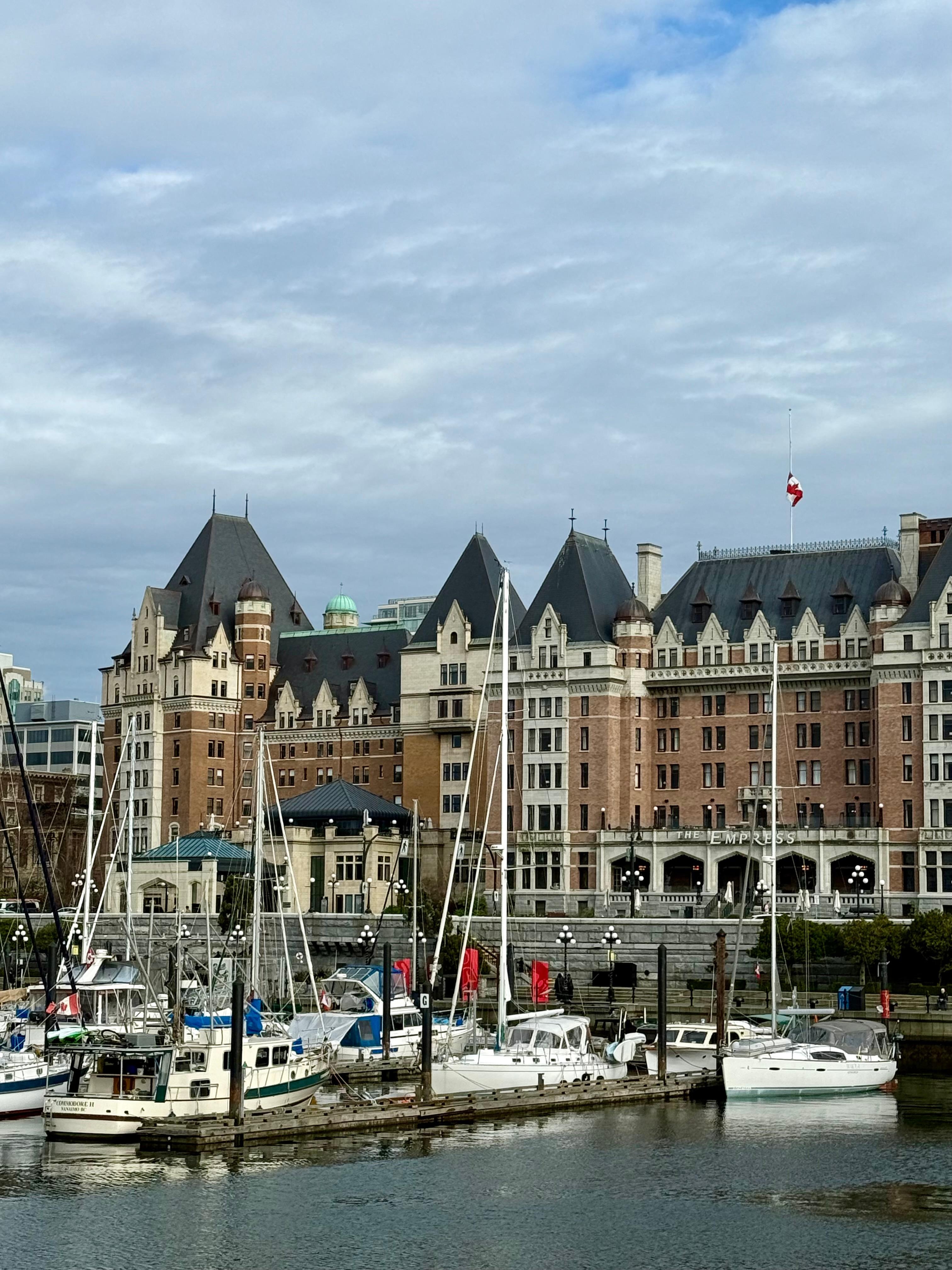 View from the harbour 