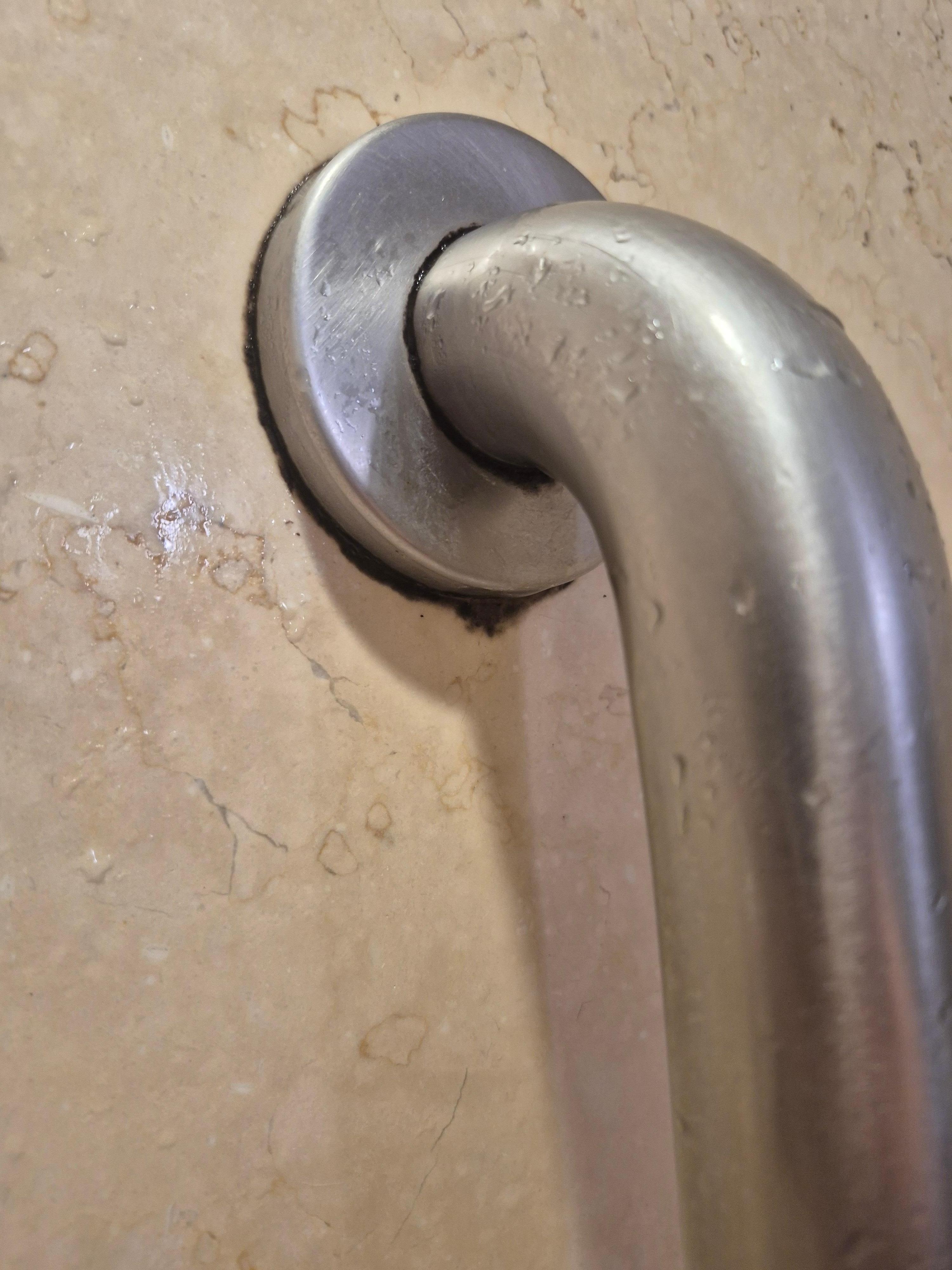 Live mold growing on the disability bars
