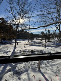 View from the front window