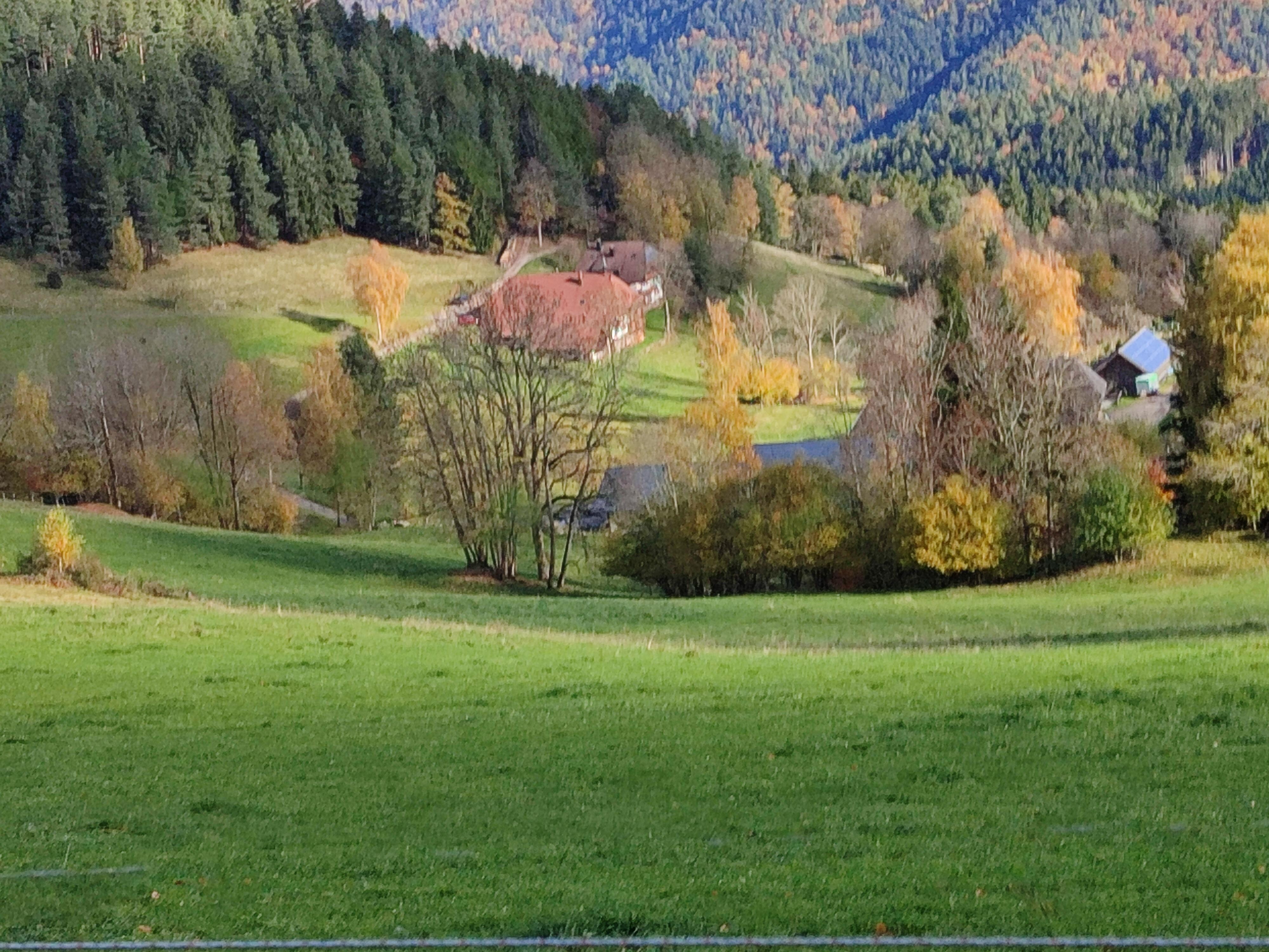 L'environnement porte bien son nom de Paradis 
