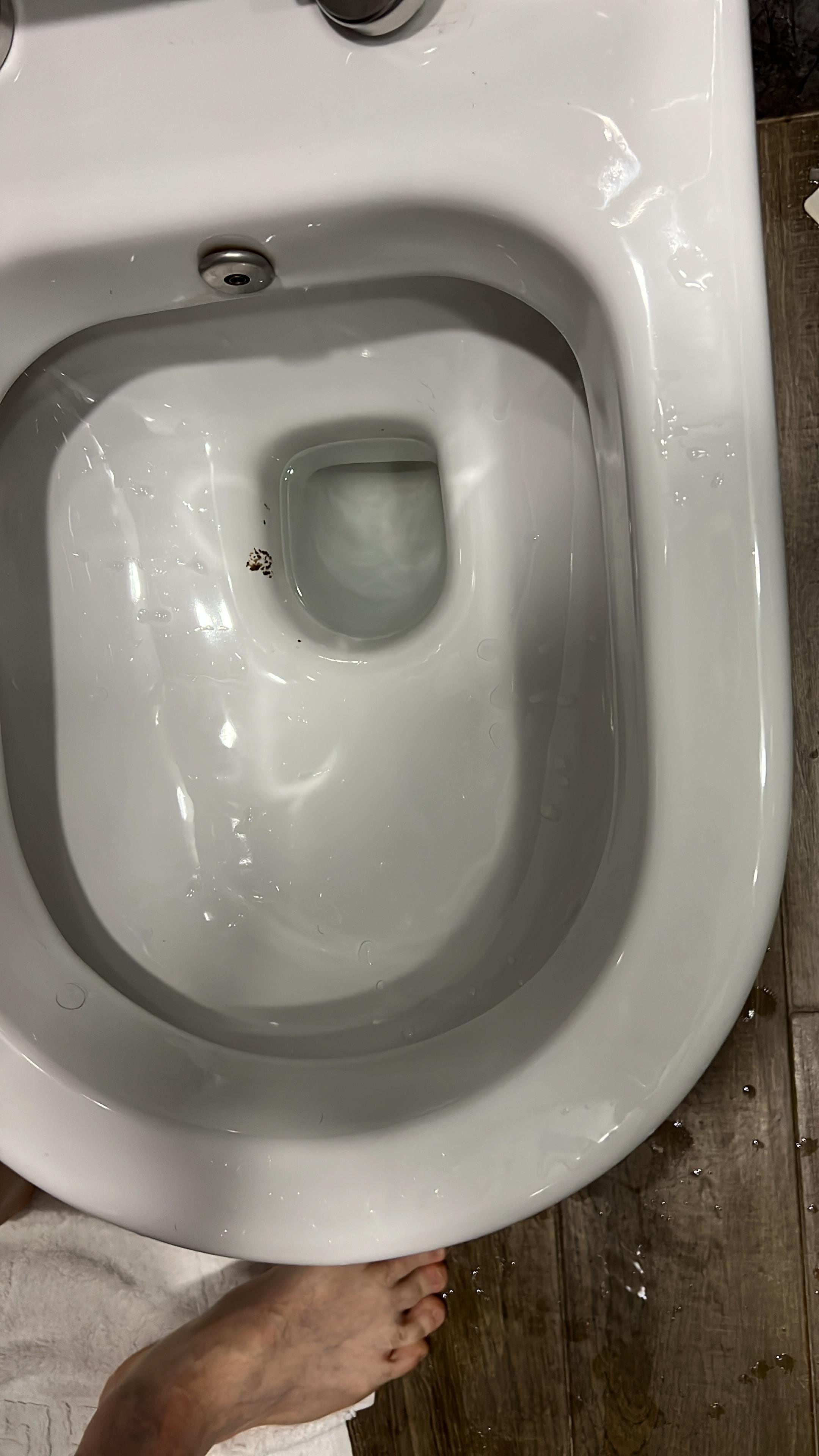 Appalling Shit left in the toilet!!!