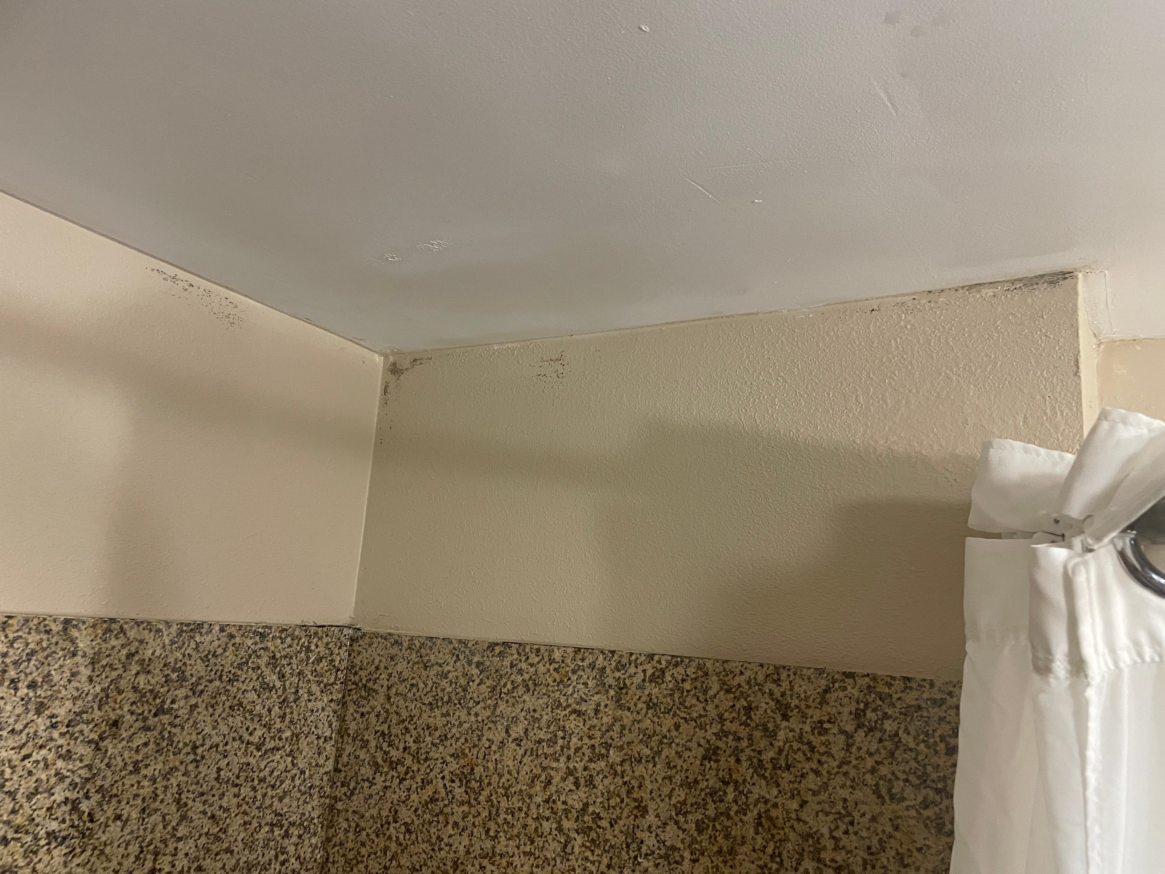 Black areas in bathroom 