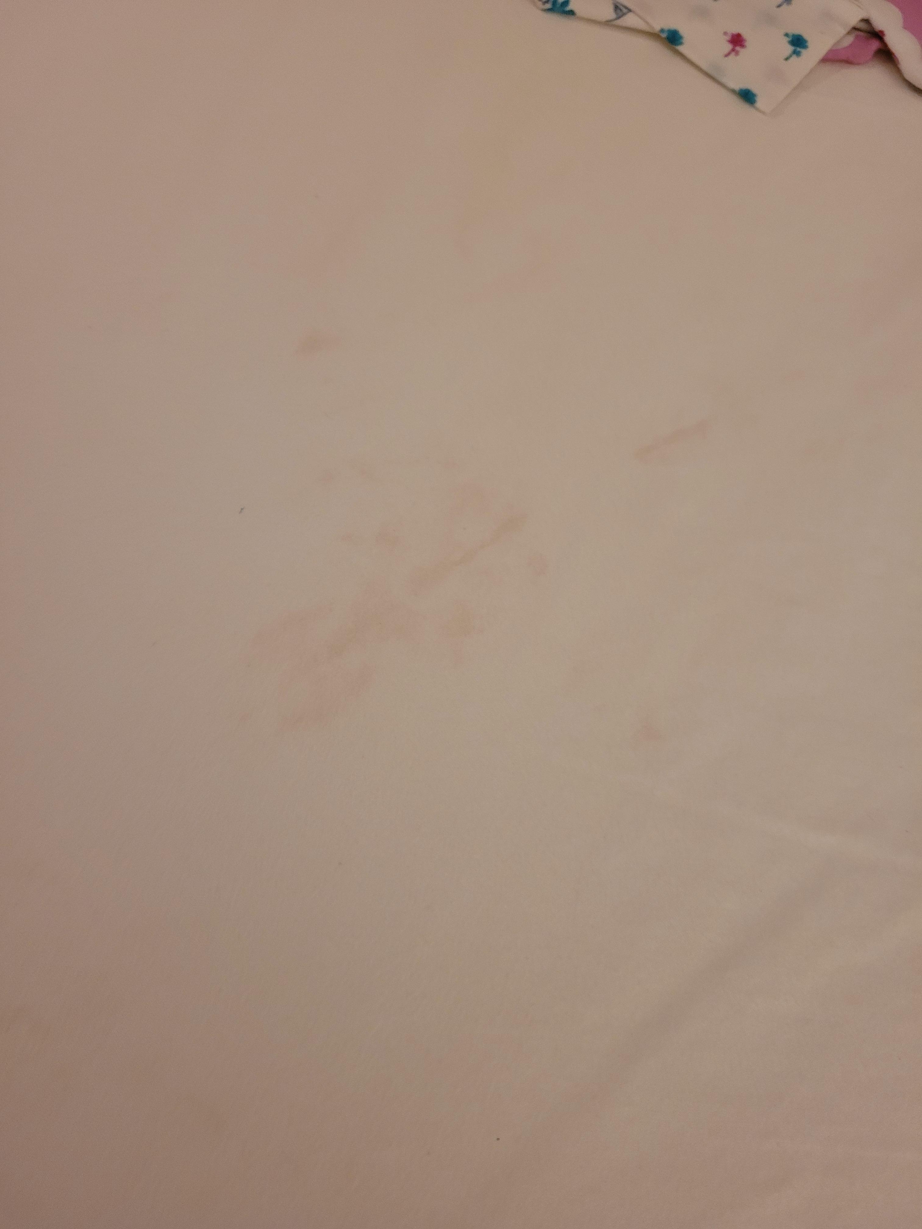 Found a scarf inside a made bed