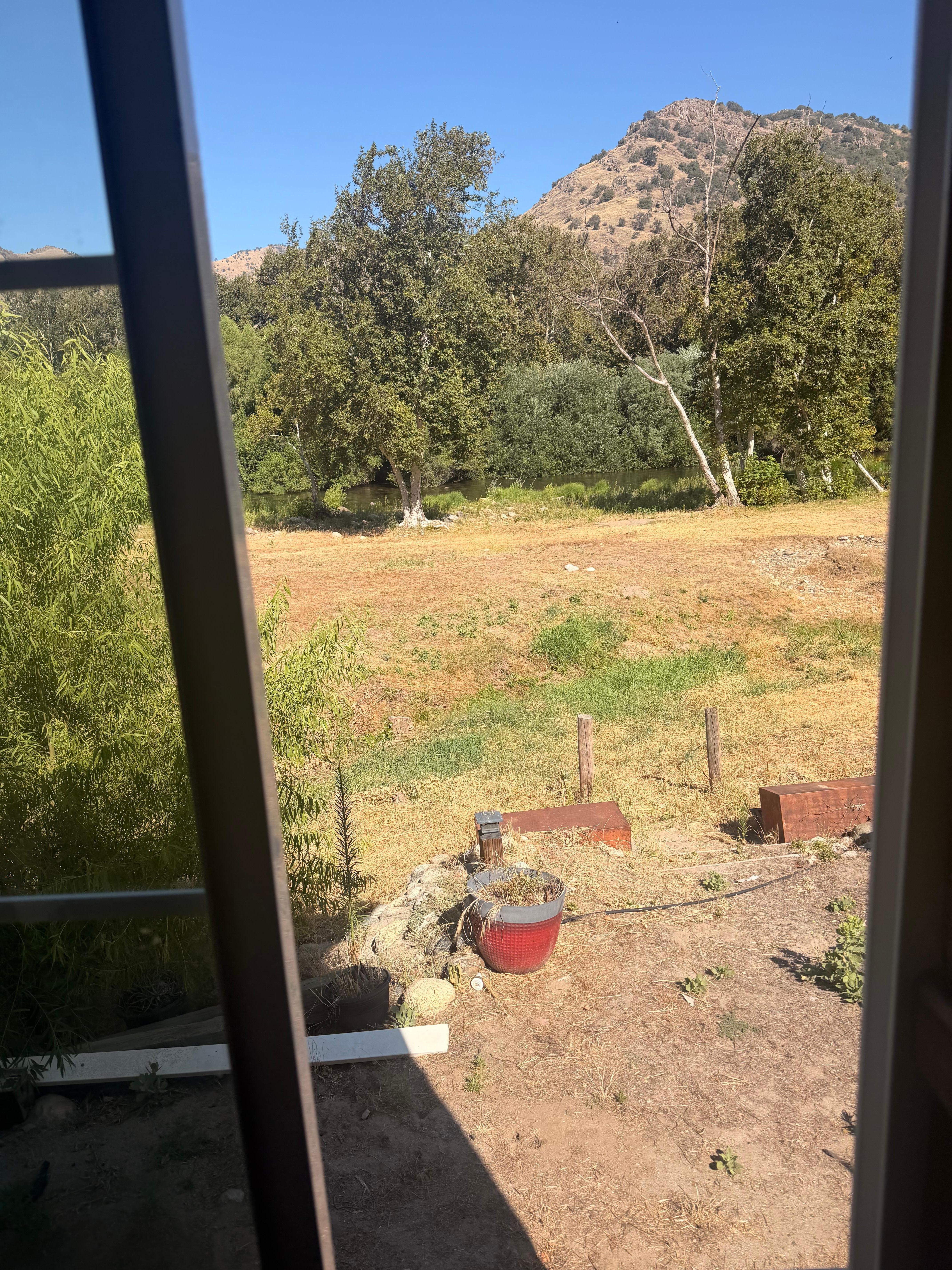 Window view