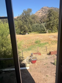 Window view
