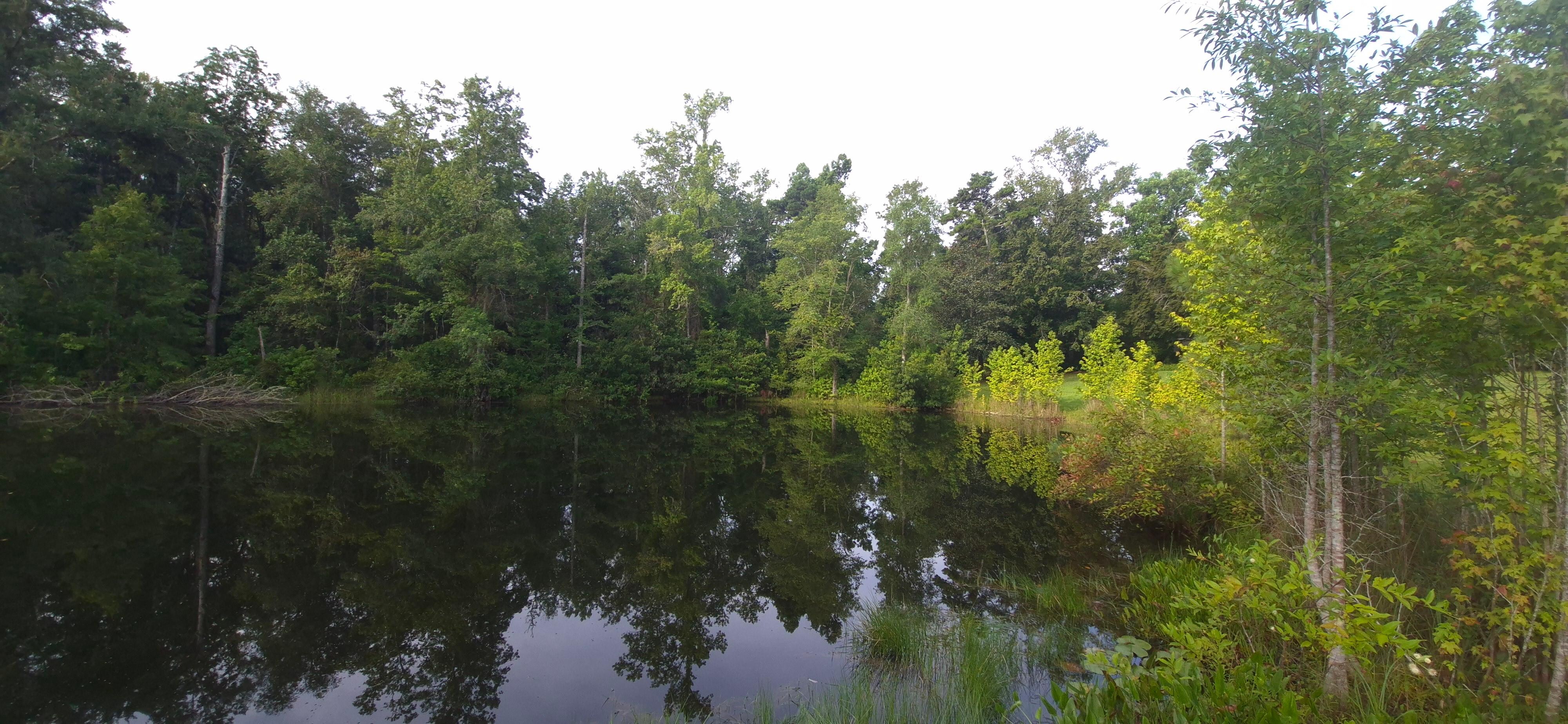 Beautiful scenery by the lake.