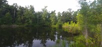Beautiful scenery by the lake.