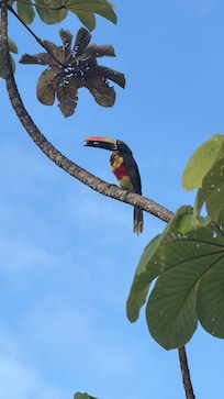 The birding was amazing!