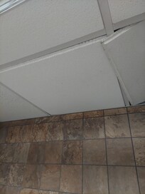 Shower tiles