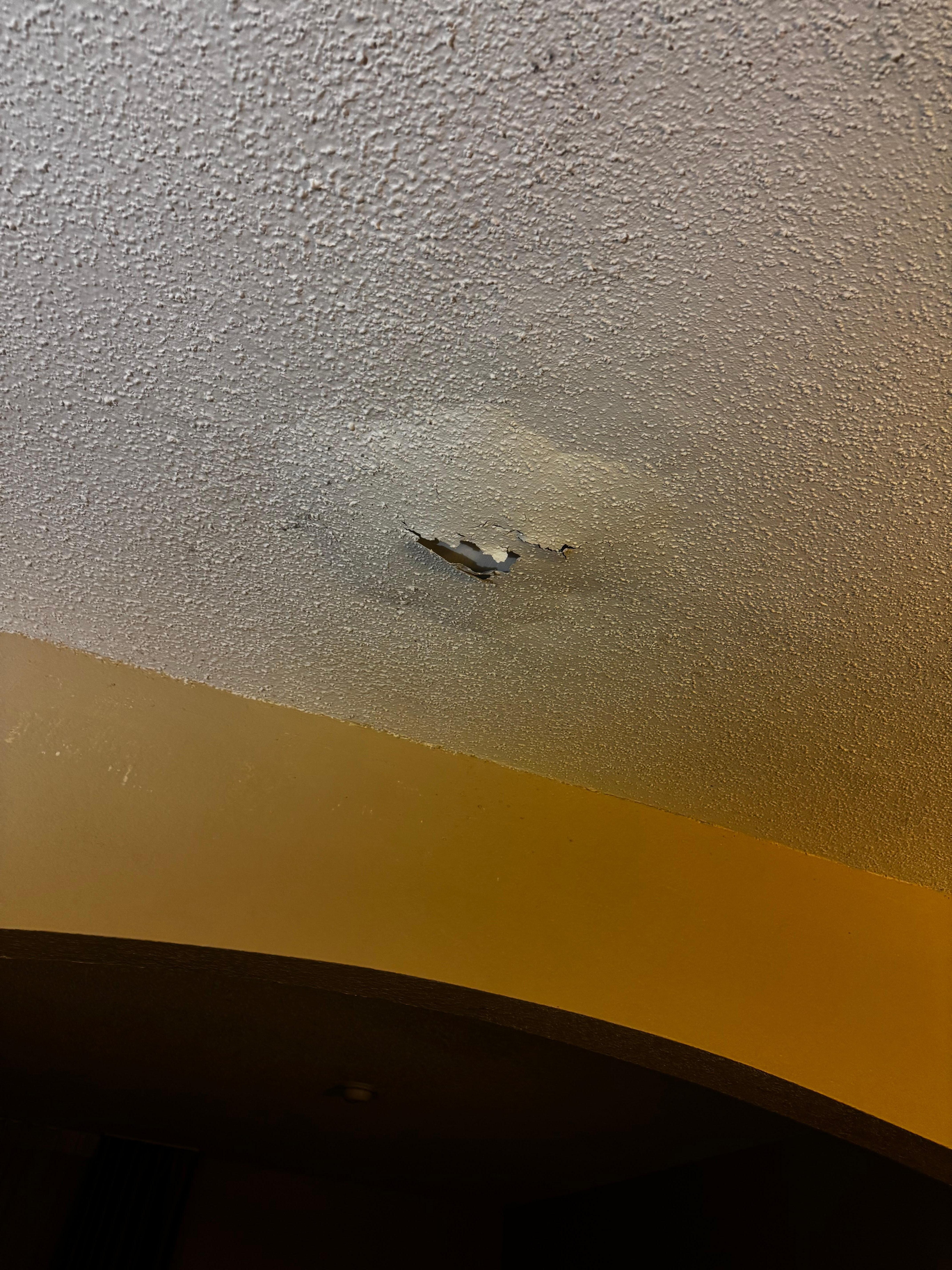 Large water spots on the ceiling