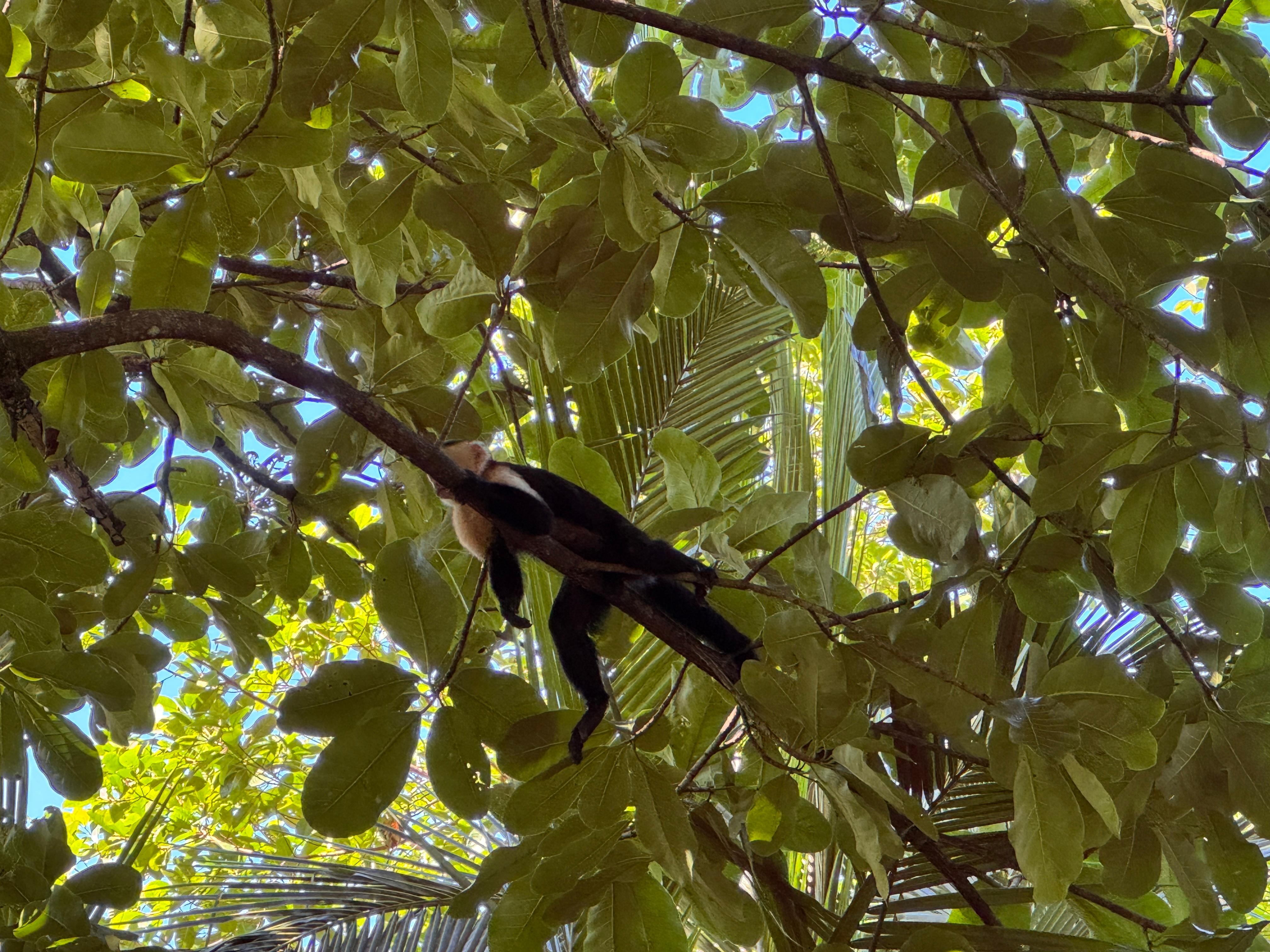 Direkt hinter dem Hotel im Wald