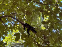Direkt hinter dem Hotel im Wald