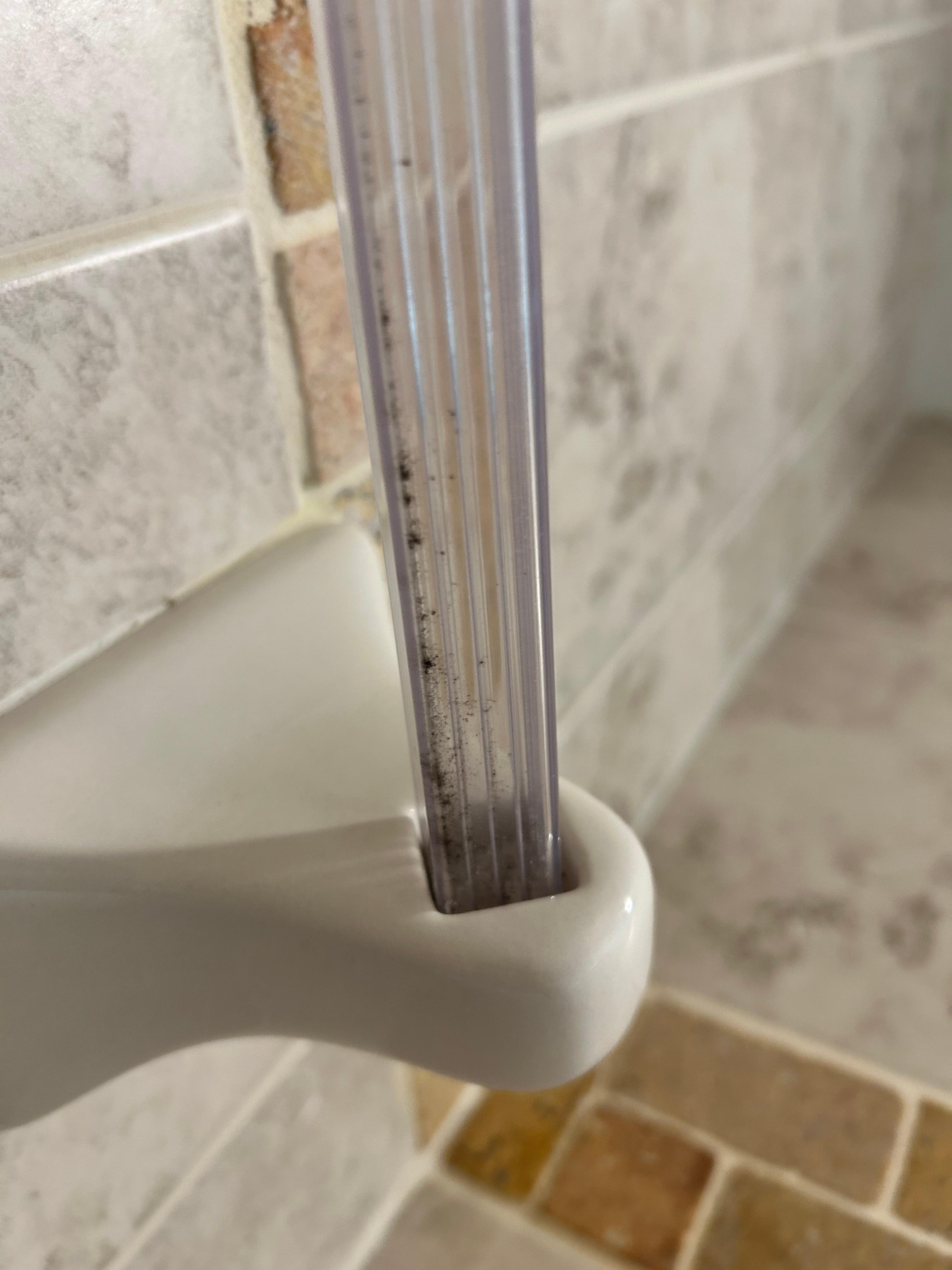 once again mold on the towel rack