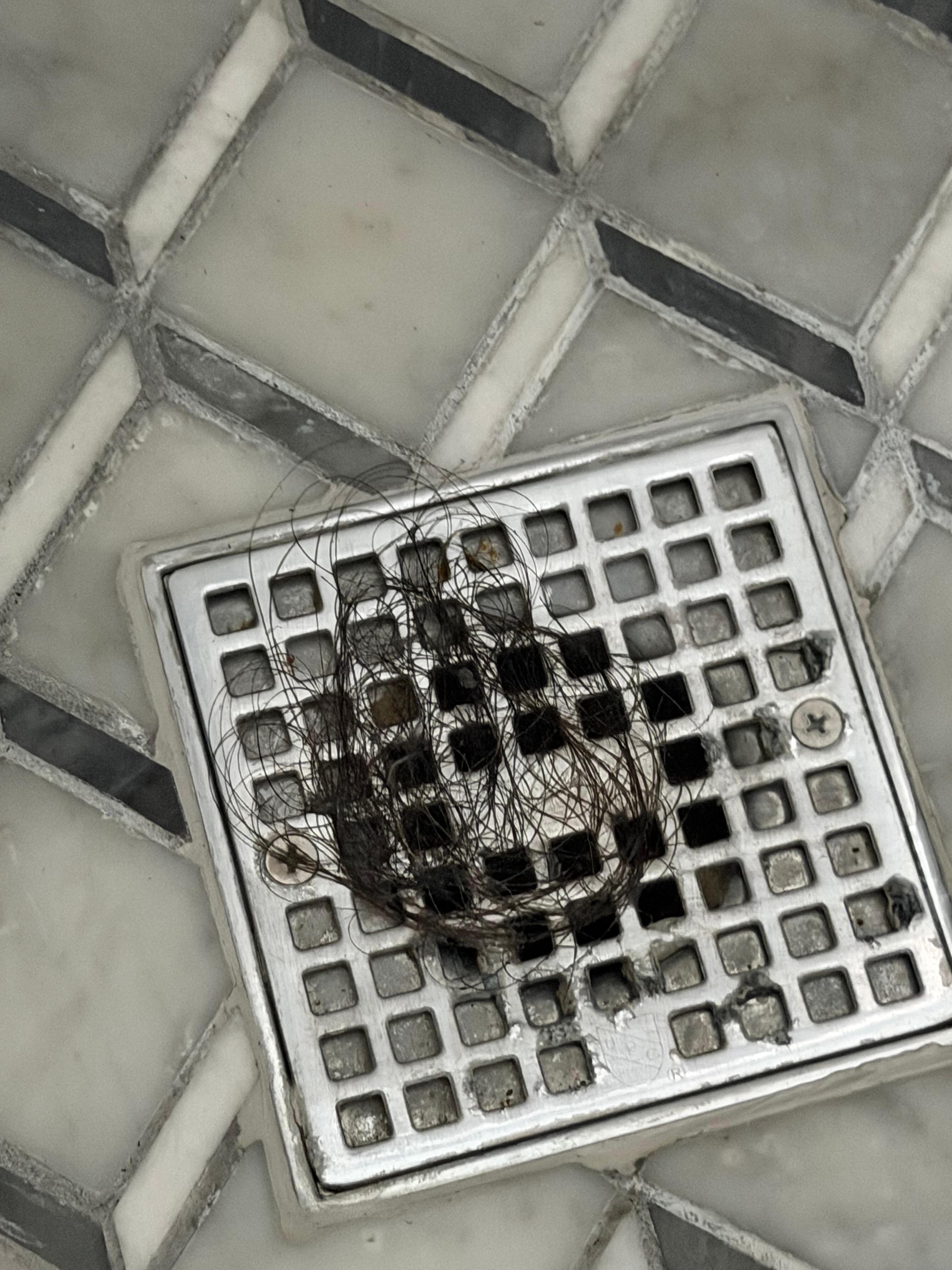 Hairball in shower