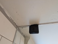 Mold