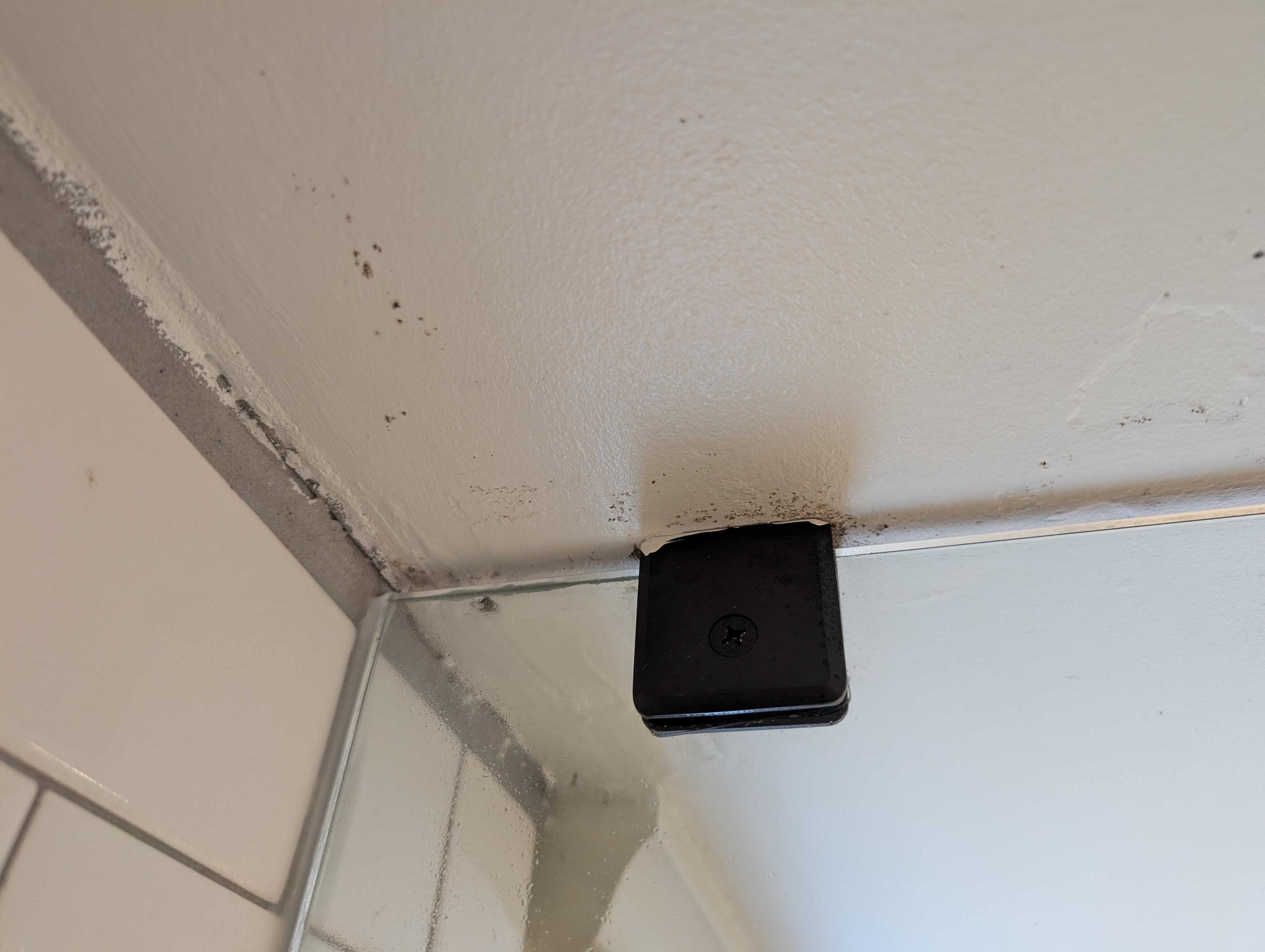Mold 