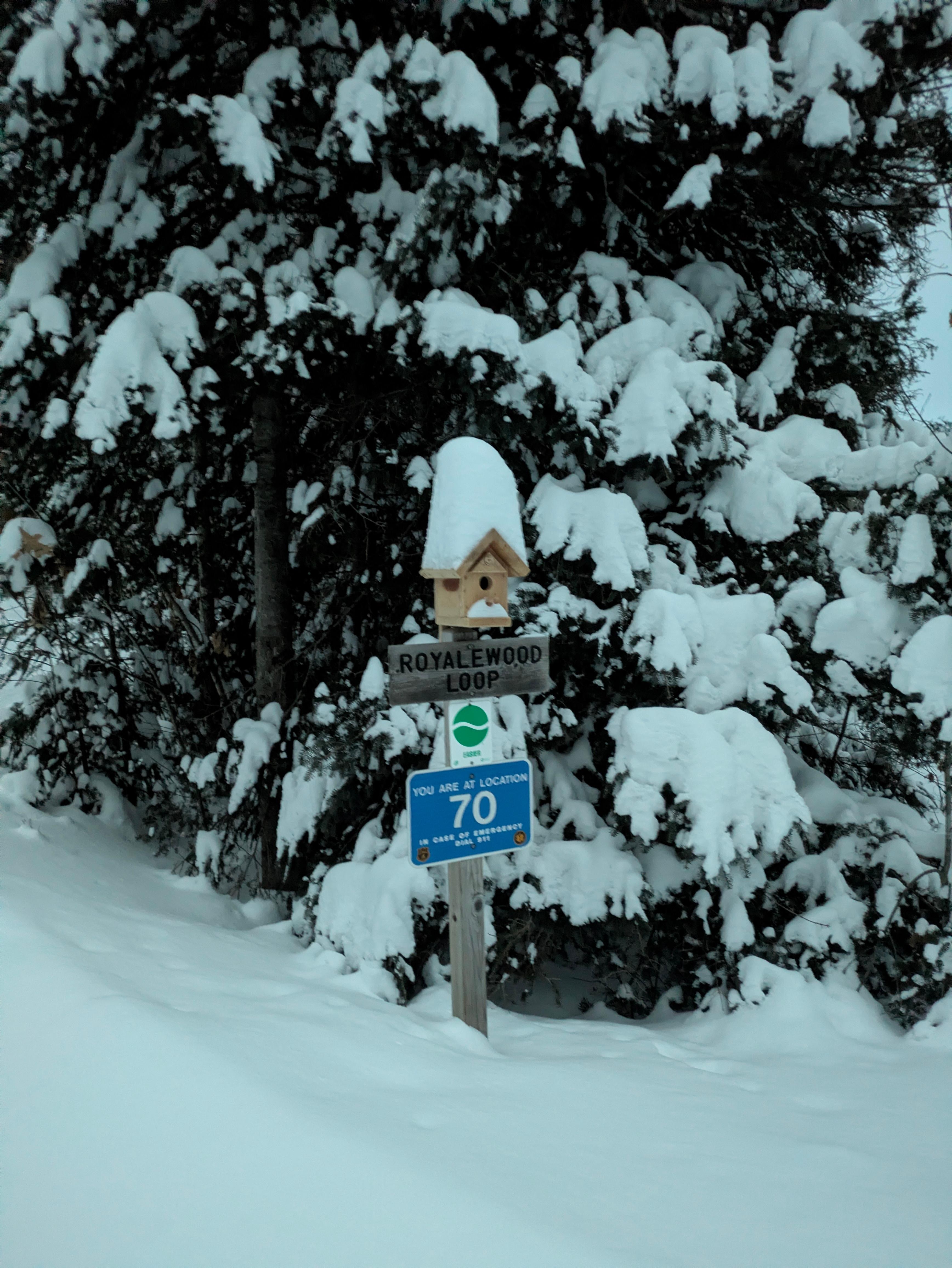 The closest snowshoeing trail is just down the road, and only takes 15-20 minutes to complete. MTU trail pass required. Can be purchased online by the public for $15/day or $150/season. 