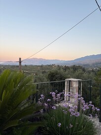 View from guests patio