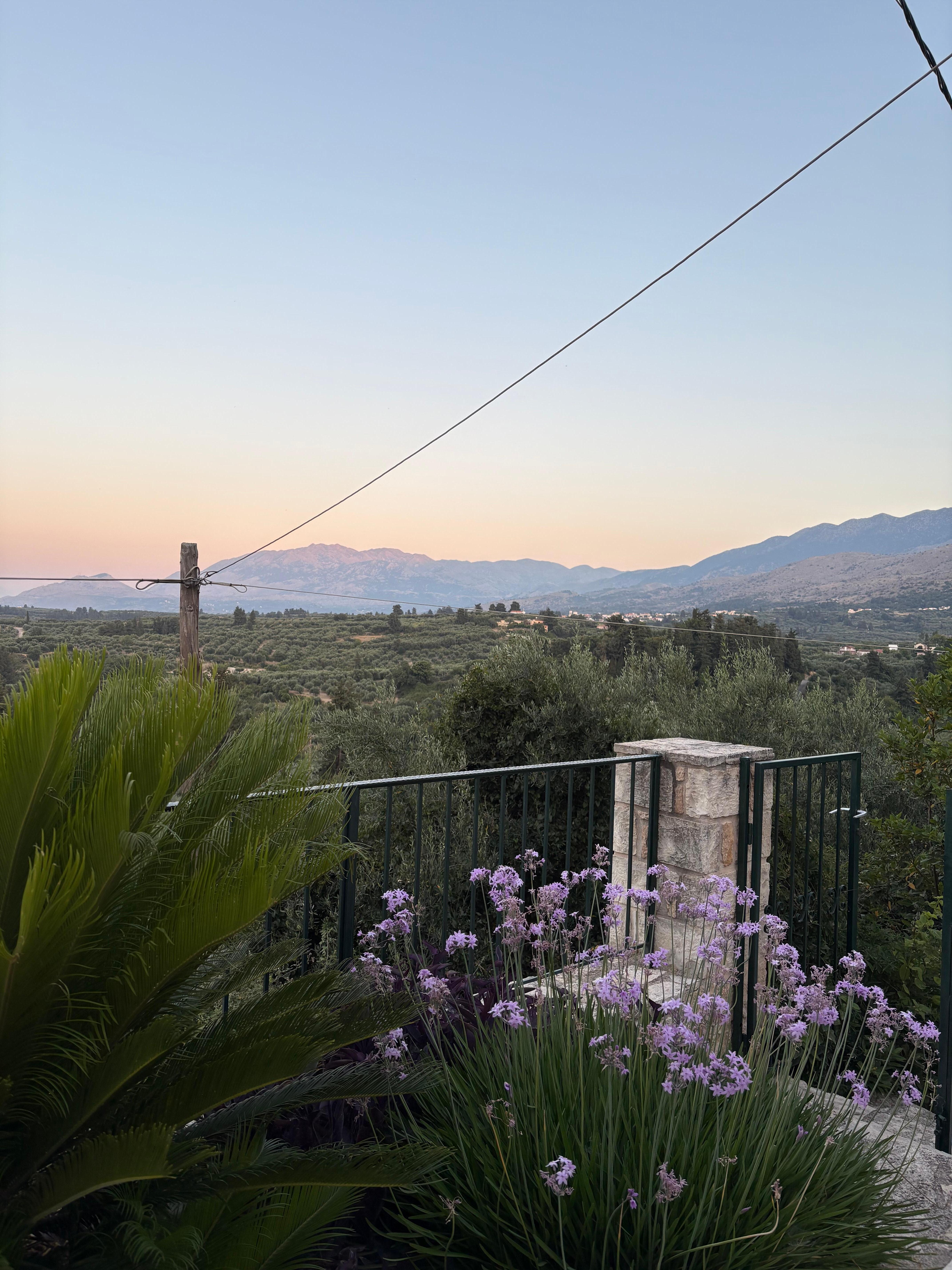 View from guests patio