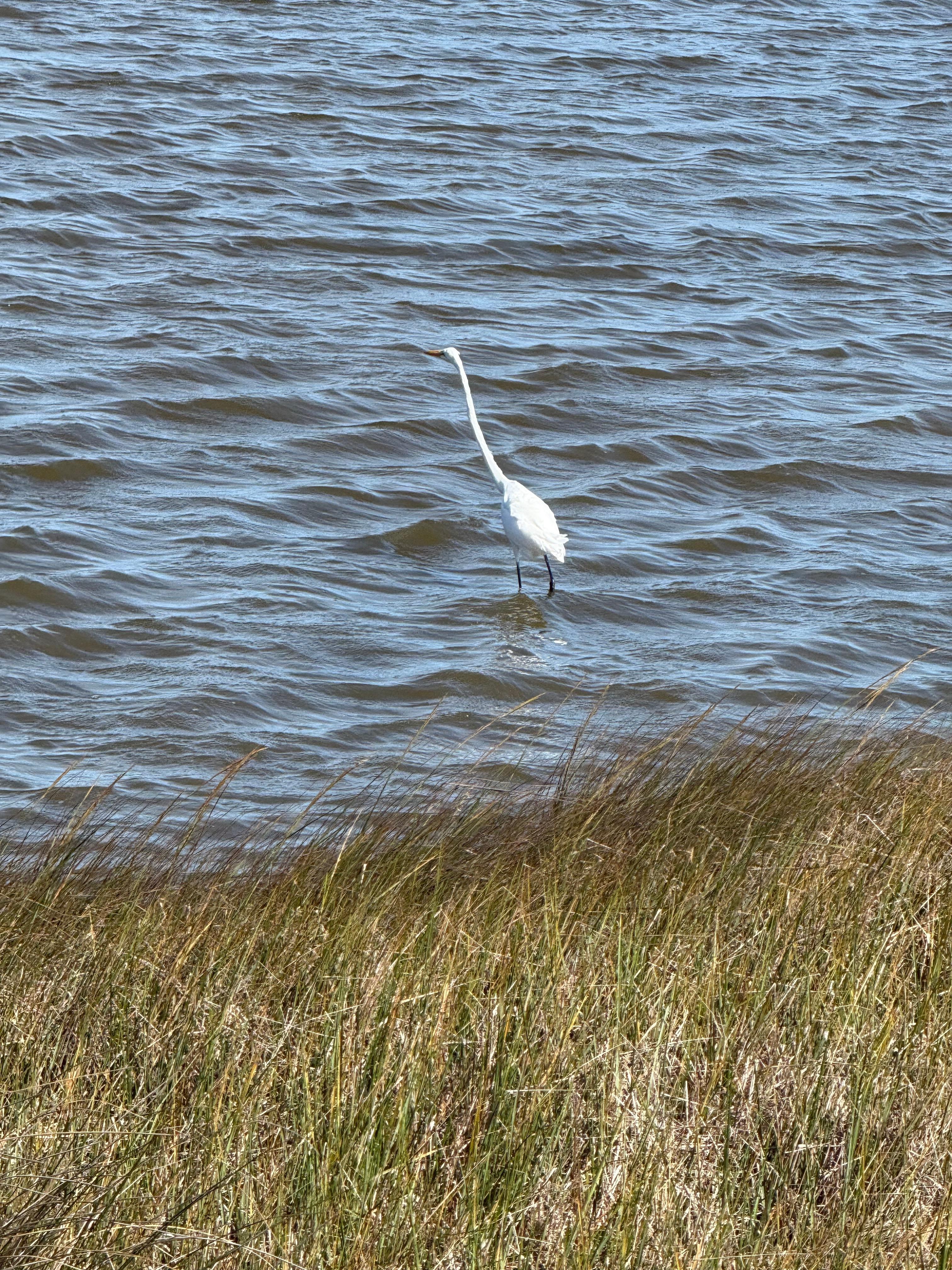 Bodie Island Light Station