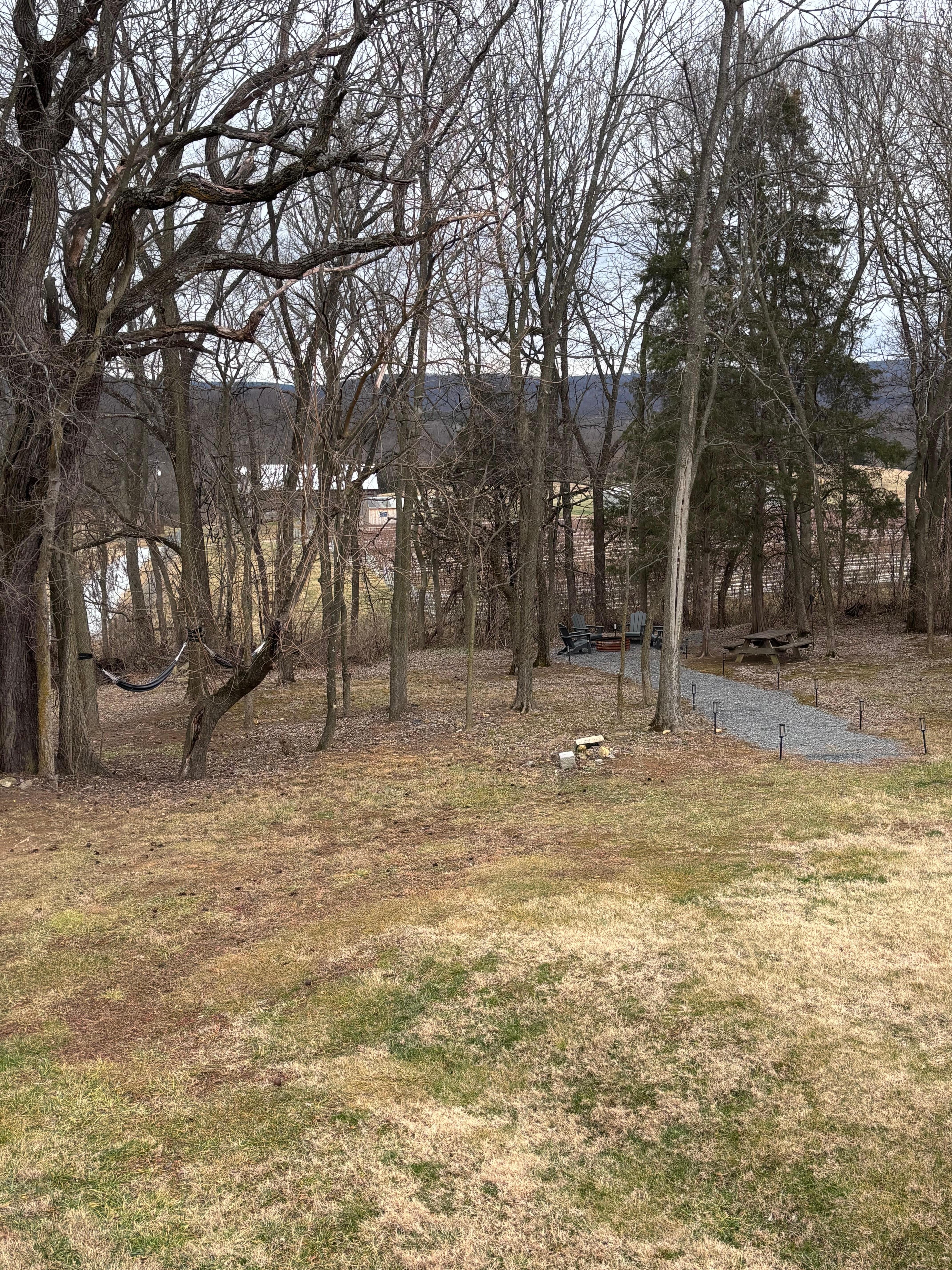 Firebird from the deck. 