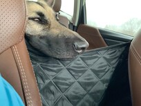 Elsie, upon learning she was to stay on the 17th floor