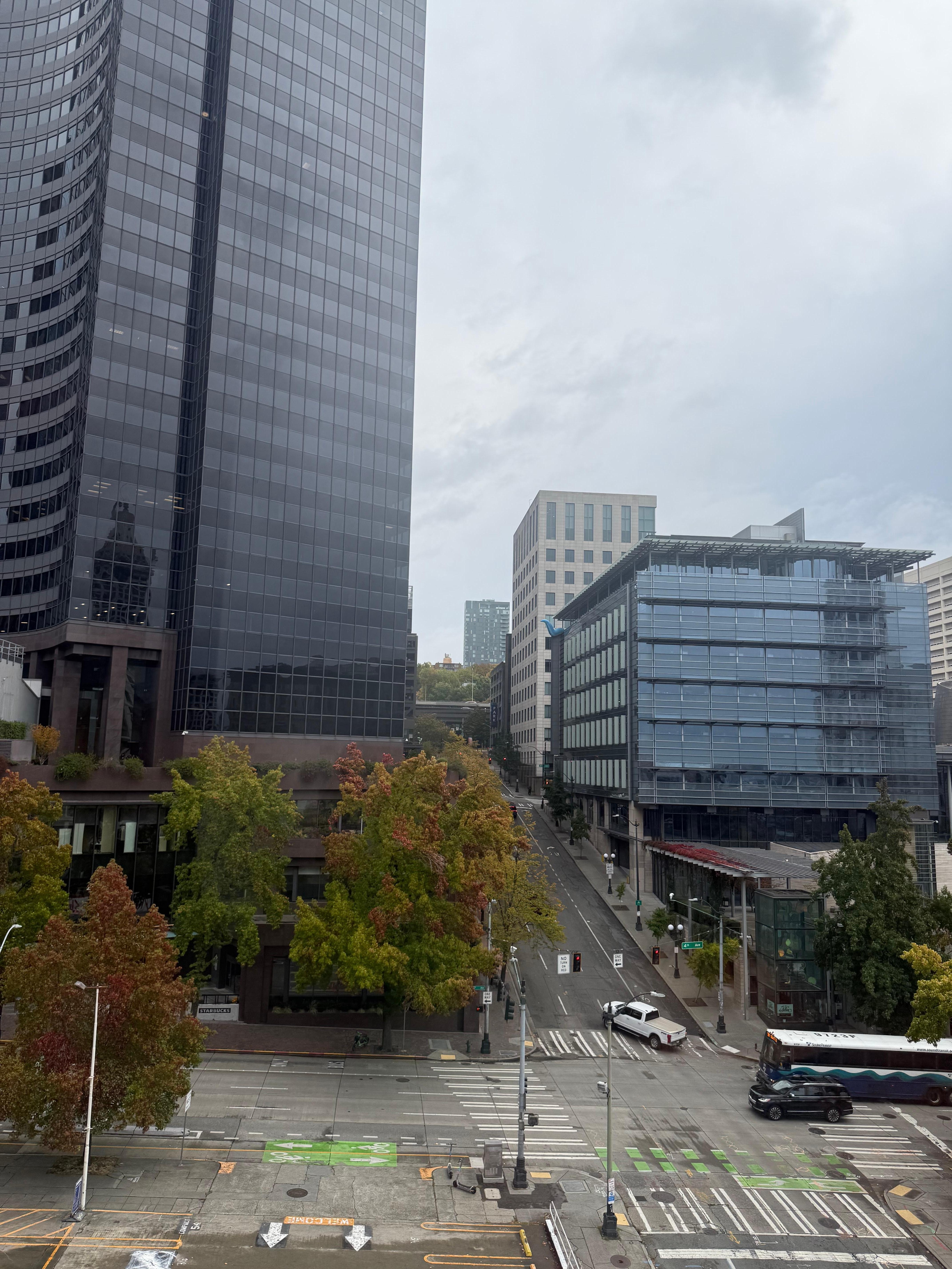 View from the window 