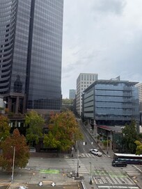 View from the window