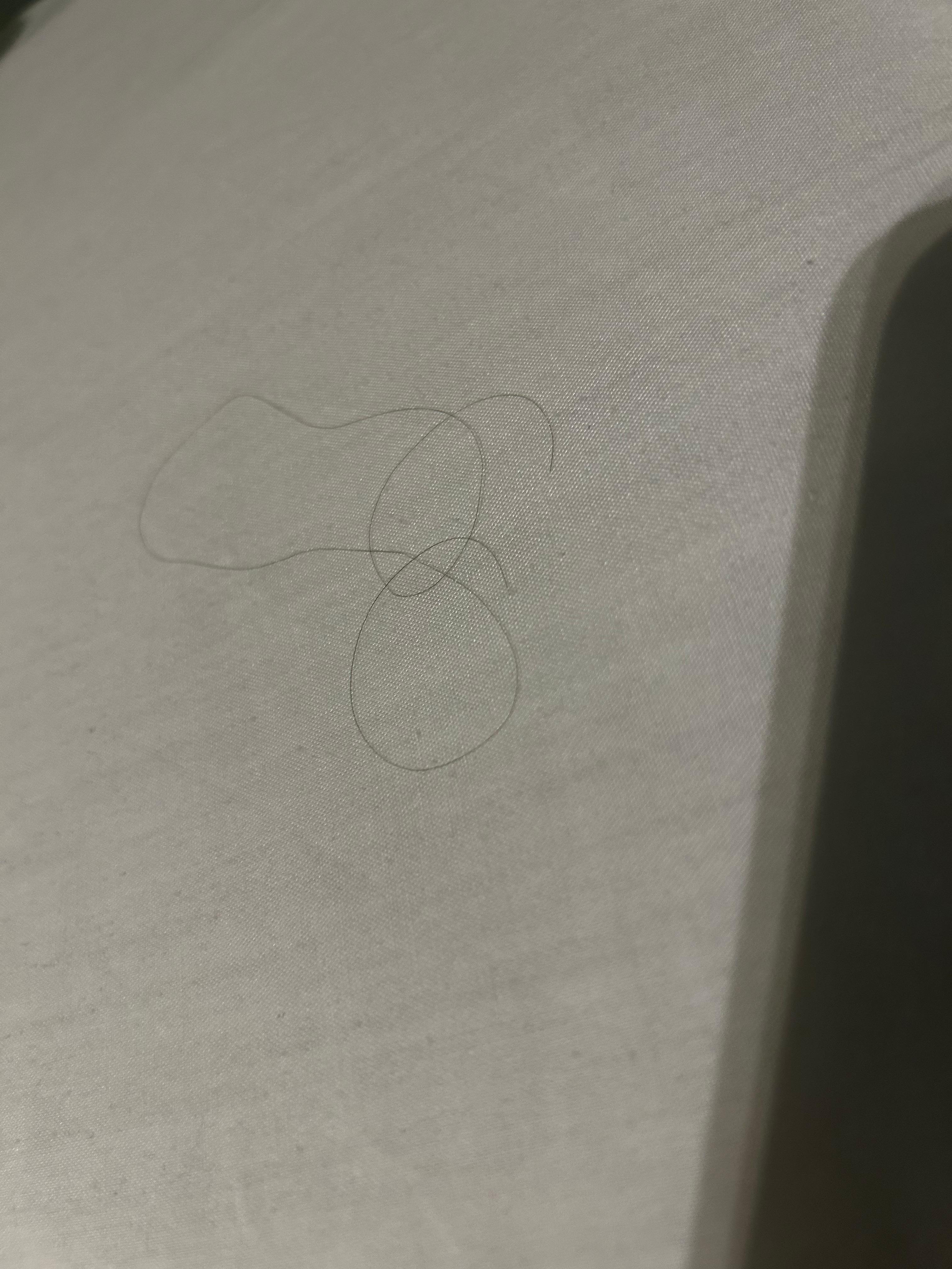 Fullt med hår som dessa i båda rummen. Otvättade sängkläder 