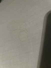 Fullt med hår som dessa i båda rummen. Otvättade sängkläder