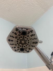 MOLD!!!