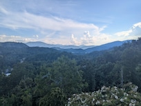 View from deck