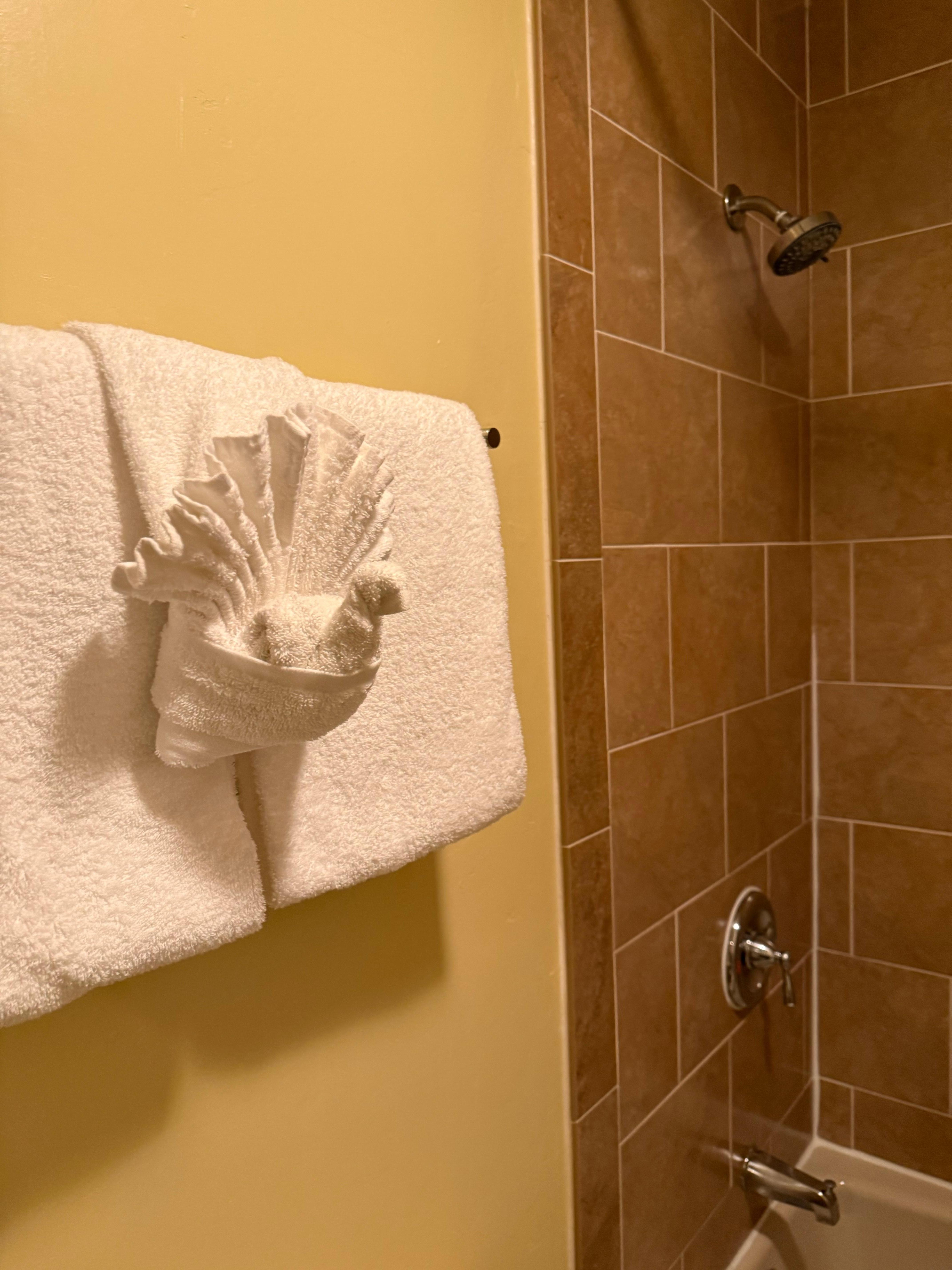 Bathroom are well kept 