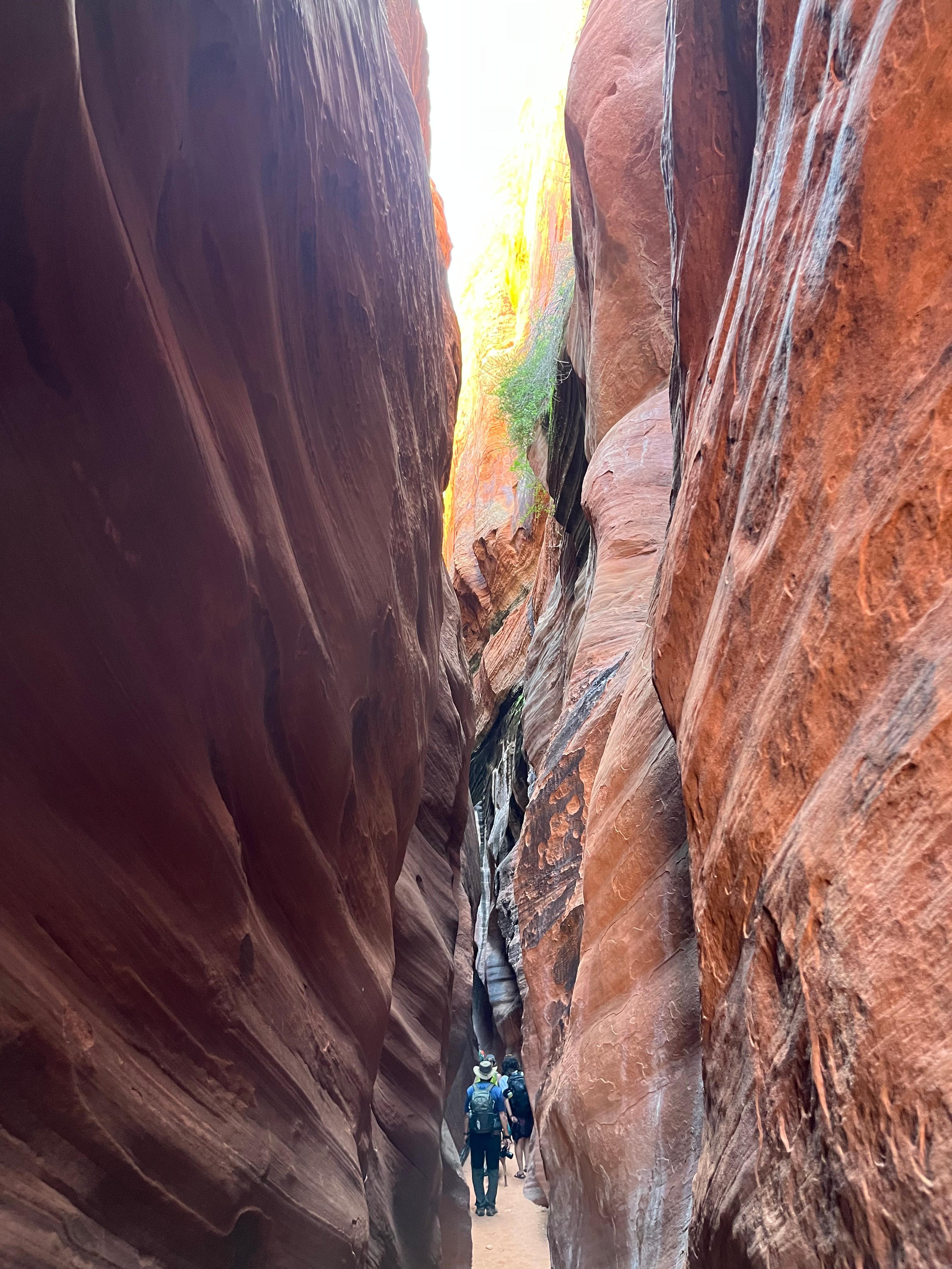 Wire pass trail