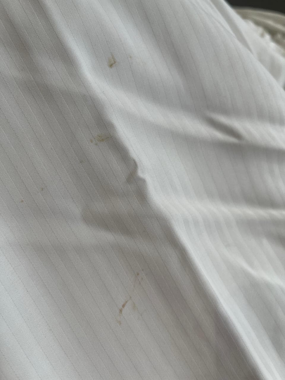visible stains on the bed sheets