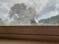 Torn screen in bedroom