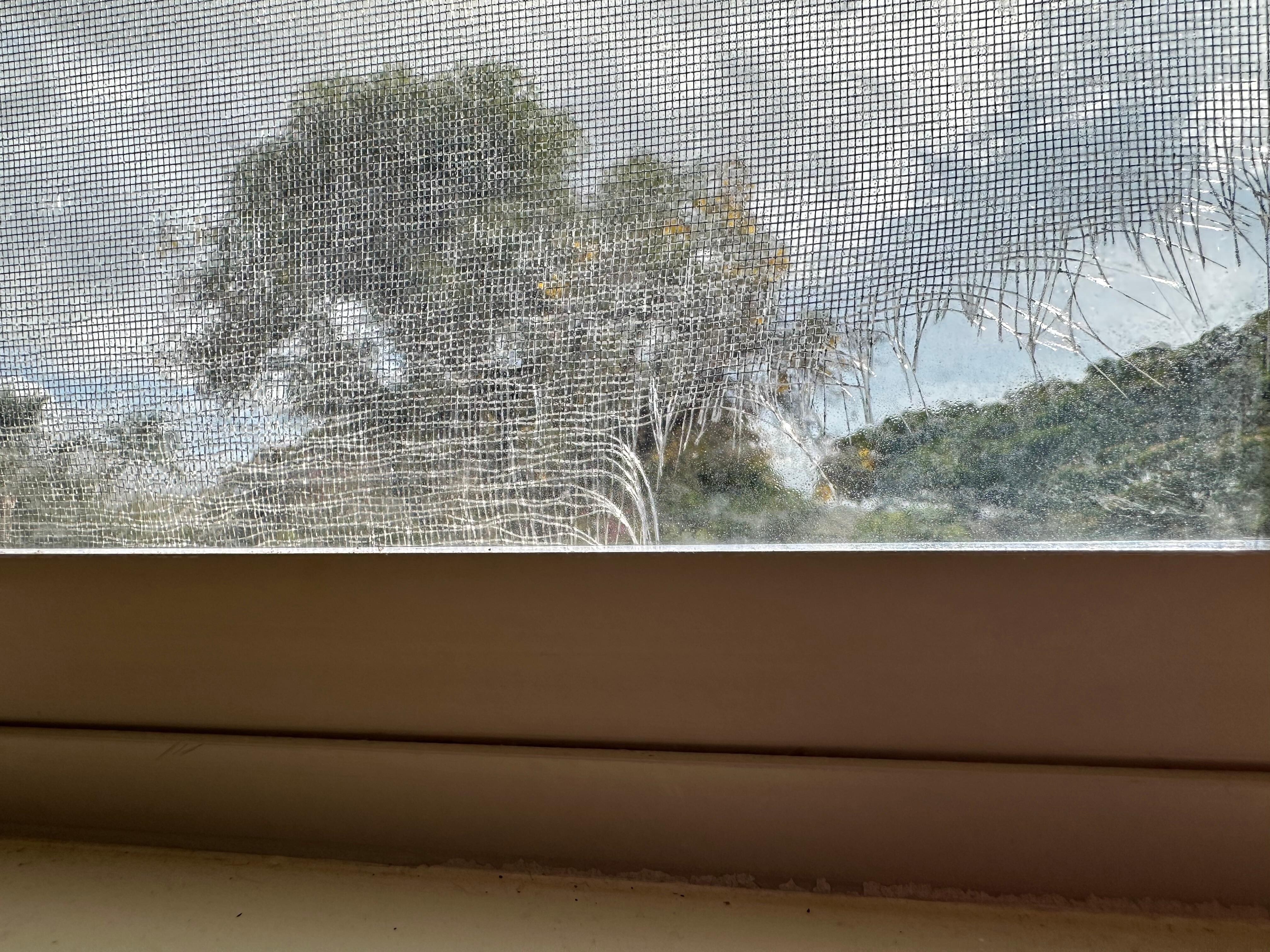 Torn screen in bedroom 